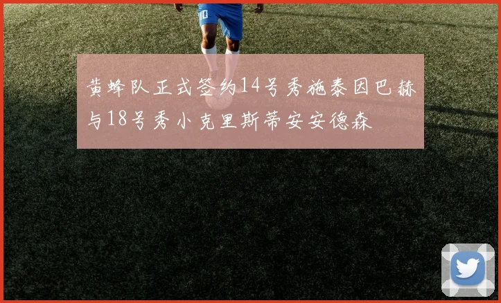 黄蜂队正式签约14号秀施泰因巴赫与18号秀小克里斯蒂安安德森